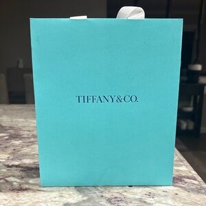 Tiffany & Co. Turquoise Shopping Bag
